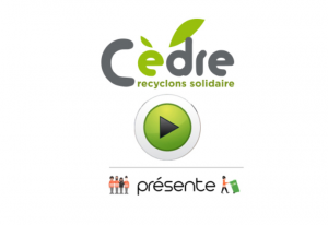 cedre001