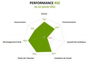 Performance RSE 2015