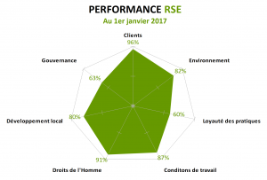 Performance RSE 2017