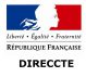 LOGO DIRECCTE