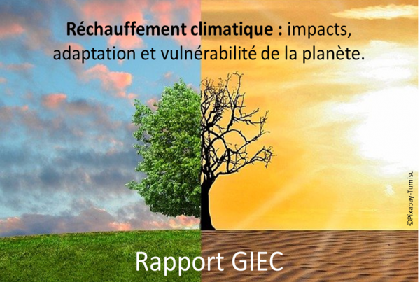 RECHAUFFEMENT CLIMATIQUE-IMPACTS