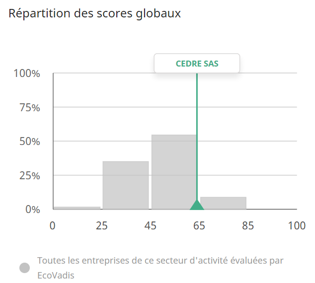 ECOVADIS score globaux