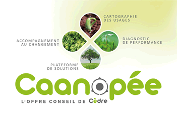 Caanopee