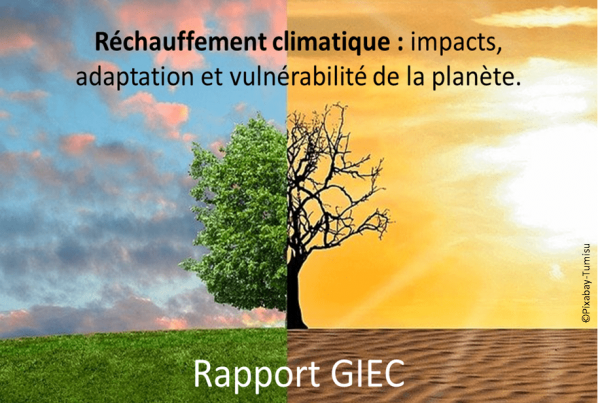 Rapport Giec