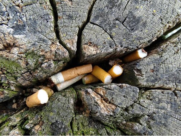 Comment instaurer facilement le recyclage de mégots de cigarette au sein de son entreprise ?