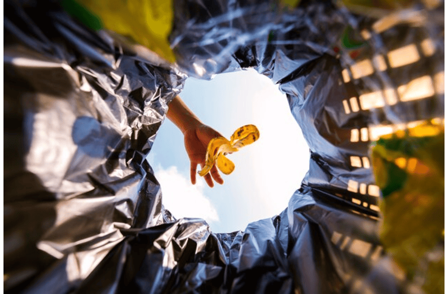 Réemploi, recyclage, valorisation organique ou énergétique : la seconde vie de vos déchets